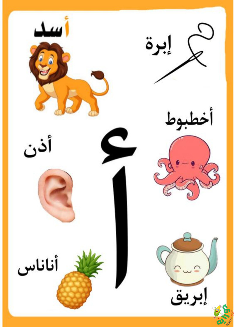 بطاقات الحروف العربية - كلمات وأسماء