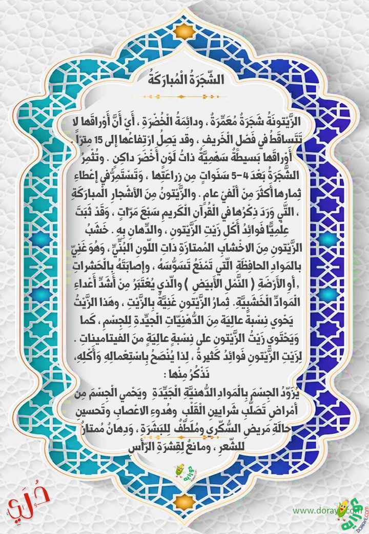 قصص story doraye دورايه 23 - مدح اللغة العربية I Love Arabic