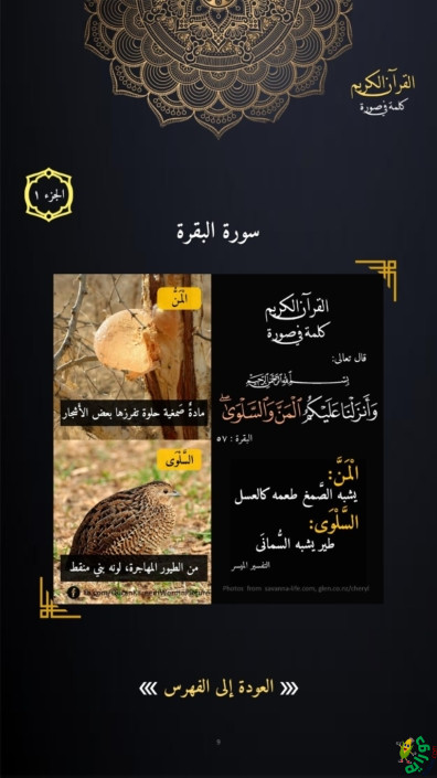 كتاب القرآن الكريم - كلمة في صورة Holy Quran book - word in picture
